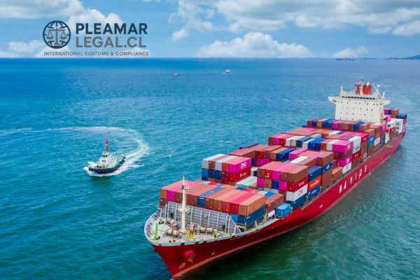 abogados de aduanas